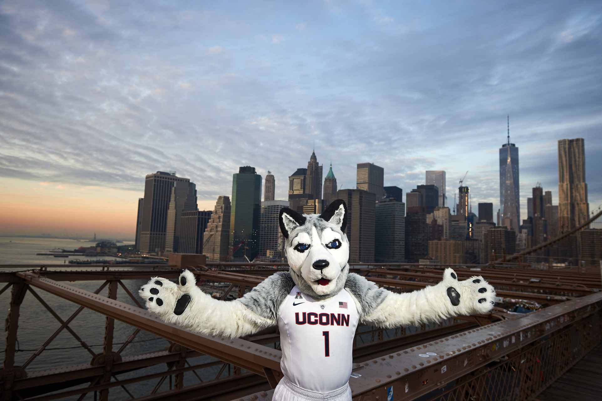 Husky in NYC
